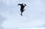 , Winter X-Games Slopestyle practice 2011 - Courchevel Enquirer